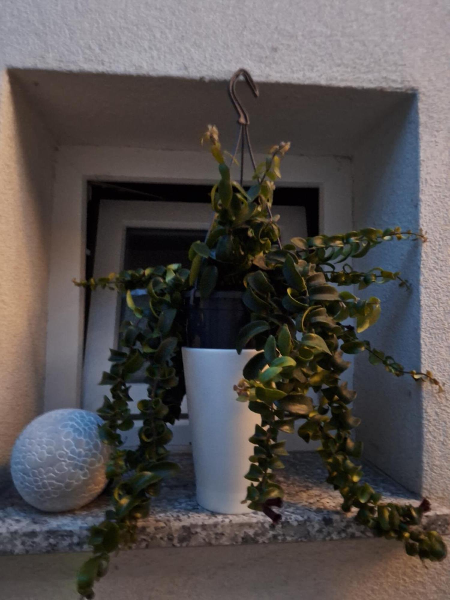 Studio Apartmani Louis I Lola Zagreb Dış mekan fotoğraf
